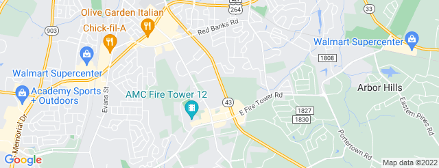 Williams Arena At Minges Coliseum